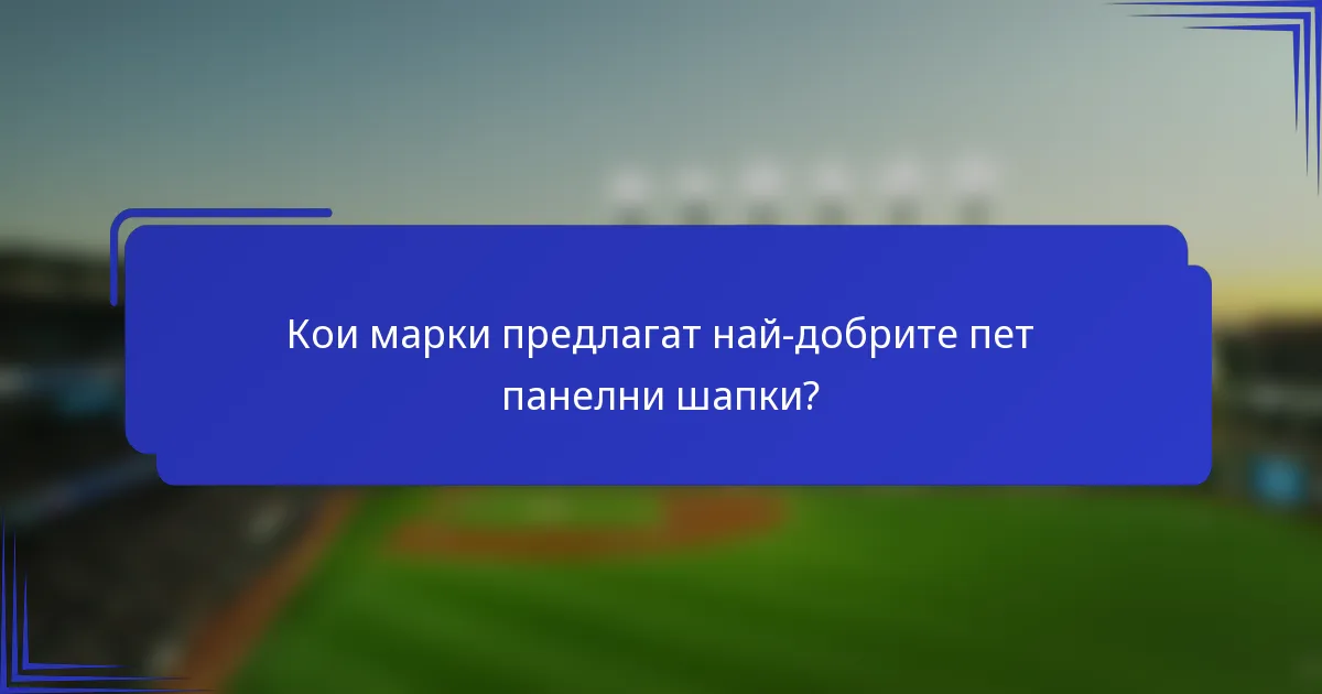 Кои марки предлагат най-добрите пет панелни шапки?